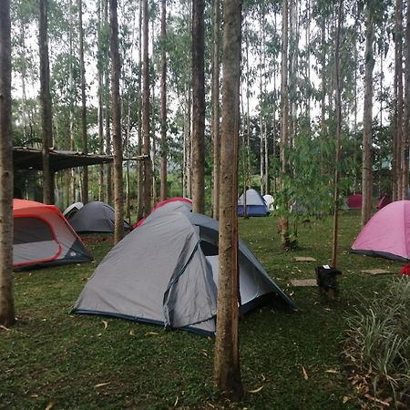 Murchison Backpackers Masindi Exterior photo