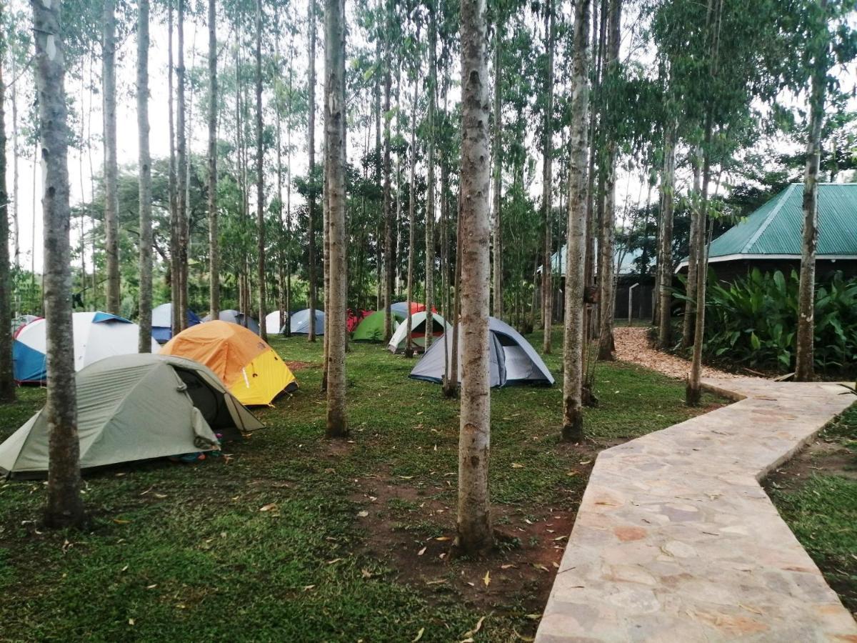 Murchison Backpackers Masindi Exterior photo