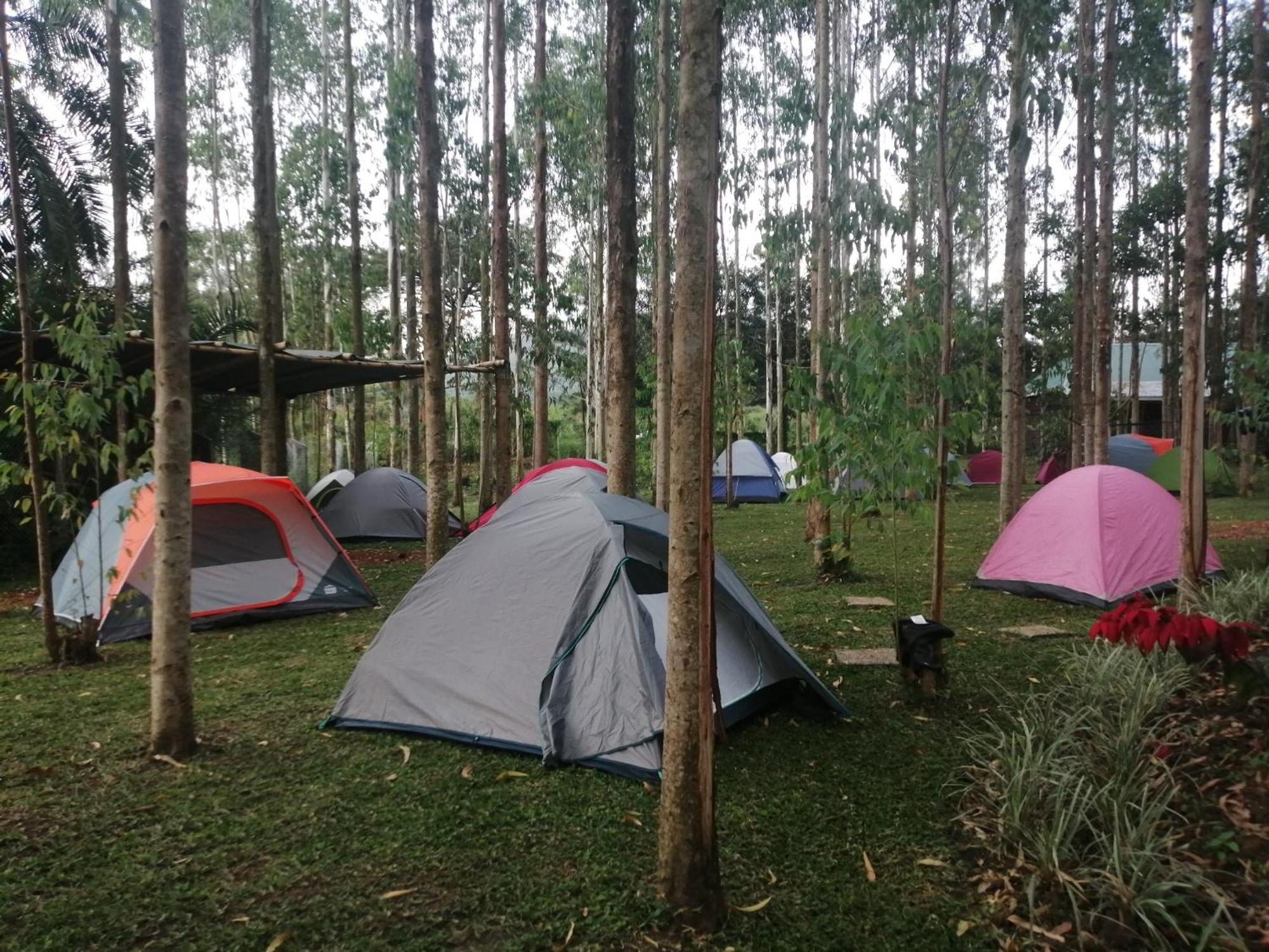 Murchison Backpackers Masindi Exterior photo